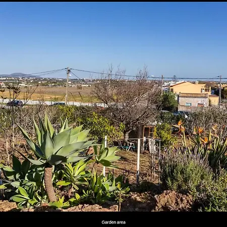 Blife Moustachya Private